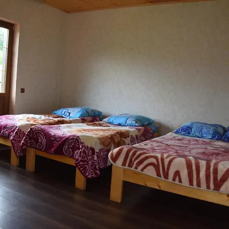 بيت خشبي аура карпат *