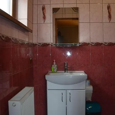 аура карпат Slavske