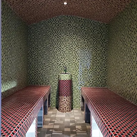 аура карпат *