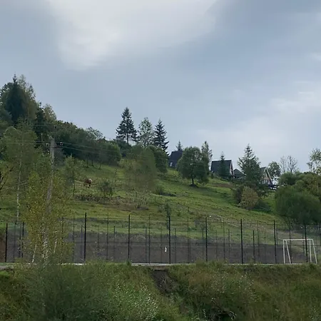 аура карпат Slavske