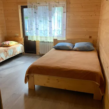 بيت خشبي аура карпат *