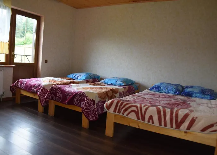 Orman Evi аура карпат *