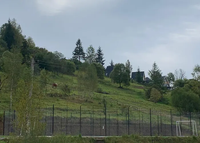 аура карпат Slavske
